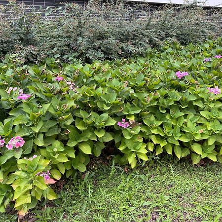 Apartament Jardins De La Noue Villeneuve-la-Garenne Zewnętrze zdjęcie